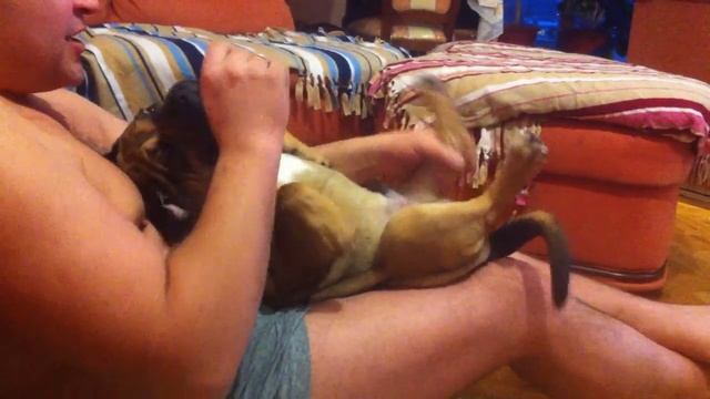 Непослушный Ка де бо смотреть онлайн