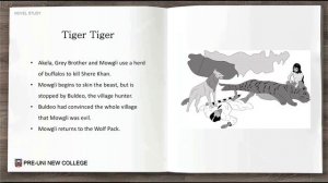 Term 1 Year 4 Novel Summary The Jungle Book