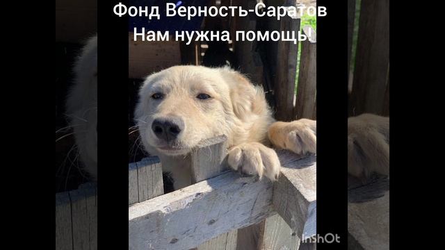 Добрая среда! Подробности в описании