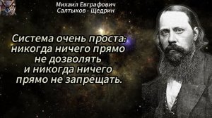 Сатирический взгляд на современное общество Цитаты Салтыкова Щедрина