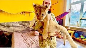 ГАМАДРИЛЫ ЗАМЕРЛИ! Мы с маленькой львицей пришли к Люсе и компании, что тут началось!!!