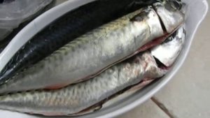 Цены на продукты в Португалии. Закупка на 12 евро.
