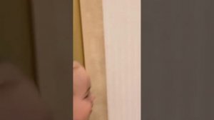 Катя Колесниченко с сыном посетили цирюльника