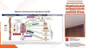 13 октября. Зал Москва. XVII международный научный конгресс «Рациональная фармакотерапия».