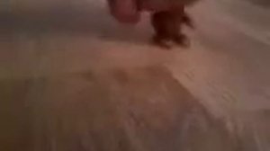 #СЕРИАЛ ЖИЗНЬ ПРЕКРАСНА# 1 СЕРИЯ 1 СЕЗОН