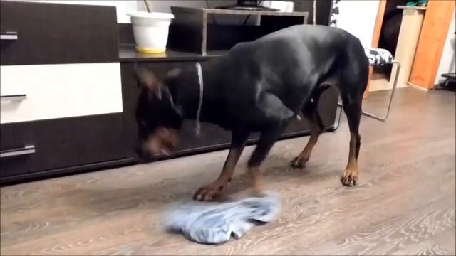 Мистер  - Добер  или Добер - Пропер 