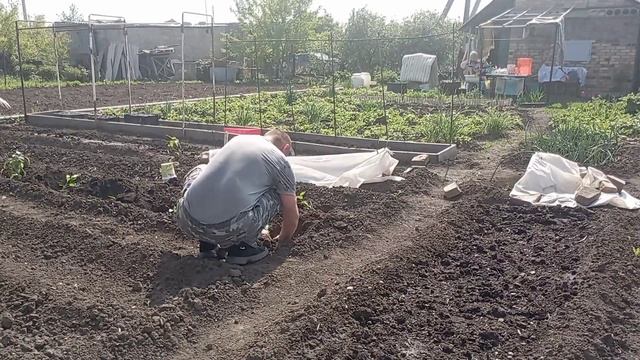 дачные будни/работа кипит смотреть онлайн