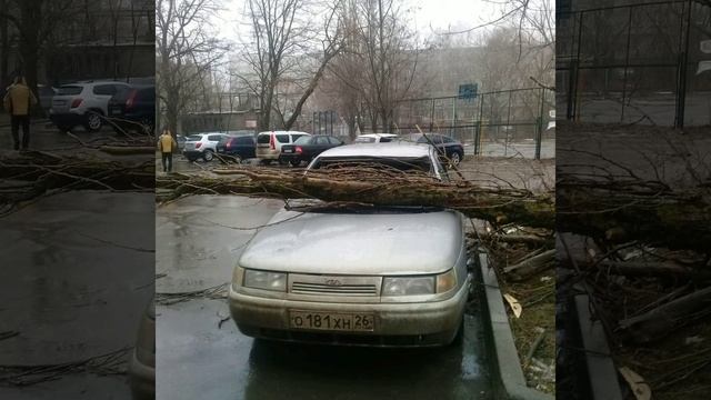 Катаклизмы и аномальные явления 16-18 января 2019 г. смотреть онлайн