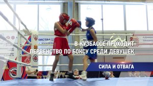 В Кузбассе проходит первенство по боксу среди девушек