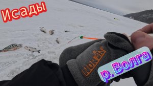 РЫБАЛКА на ВОЛГЕ ЗИМОЙ!