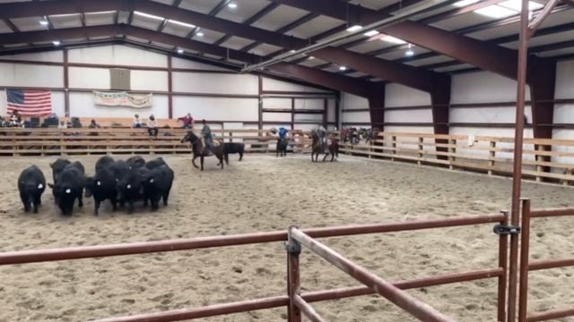 Little Foot! Team Branding. Pitchfork Horse Sale смотреть онлайн