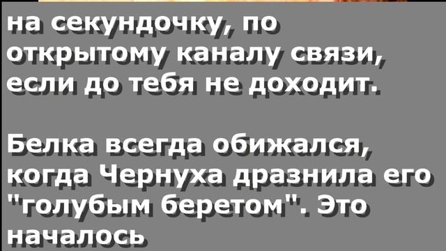 Чербелоидный подкаст #181 - Белка не начинает всё снова смотреть онлайн
