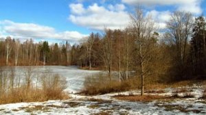 Видеоурок "Вербное воскресенье". Музыка 3 класс