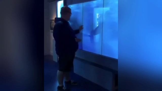 Ржал до слез 😂 18 минут смеха. Смешные видео. Лучшие Лютые ПРИКОЛЫ. Подборка приколов. смотреть онлайн