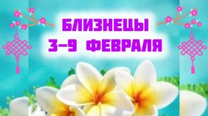 БЛИЗНЕЦЫ. Неделя 3-9 февраля.