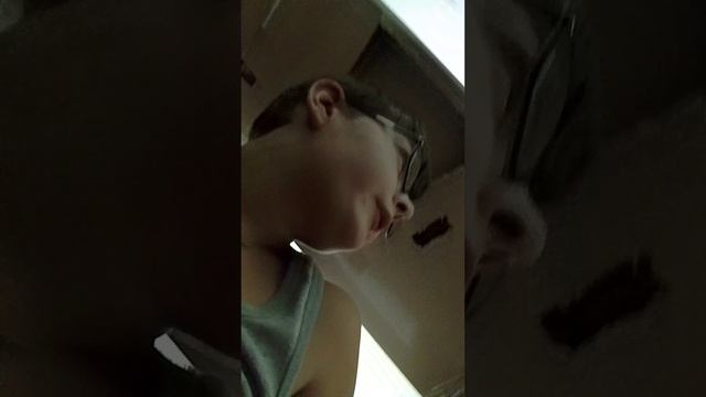 новый картонный дом