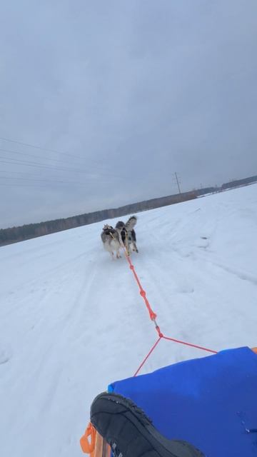 Пересел на новый вид транспорта 