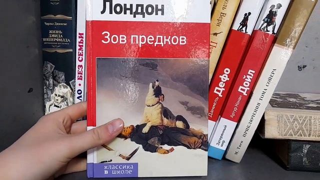Обзор на полку преключенческой литературы (часть 9) / что прочитать в 10-16 лет смотреть онлайн