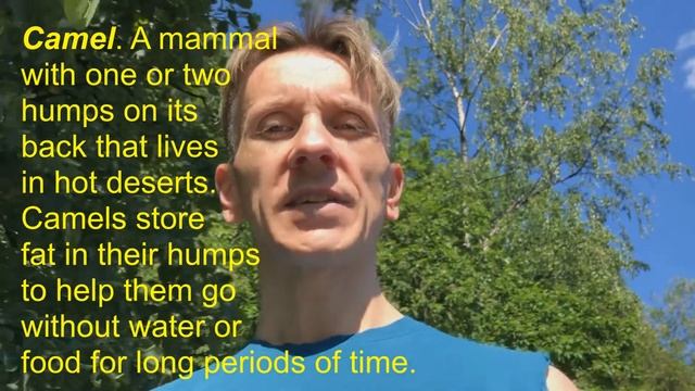 45  Учимся читать CAMEL смотреть онлайн