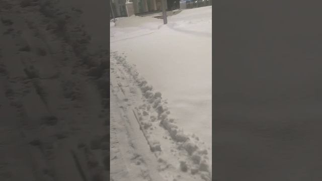 Вечерняя прогулка. Площадь им. Кирова зимой, обзор. ❄❄❄🌲