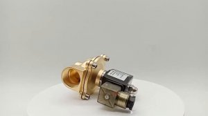 2W250-25 2'' DN25 2 Way Normally Closed Brass Water Electric Solenoid Valve 12V 24V DC 110V 220V AC