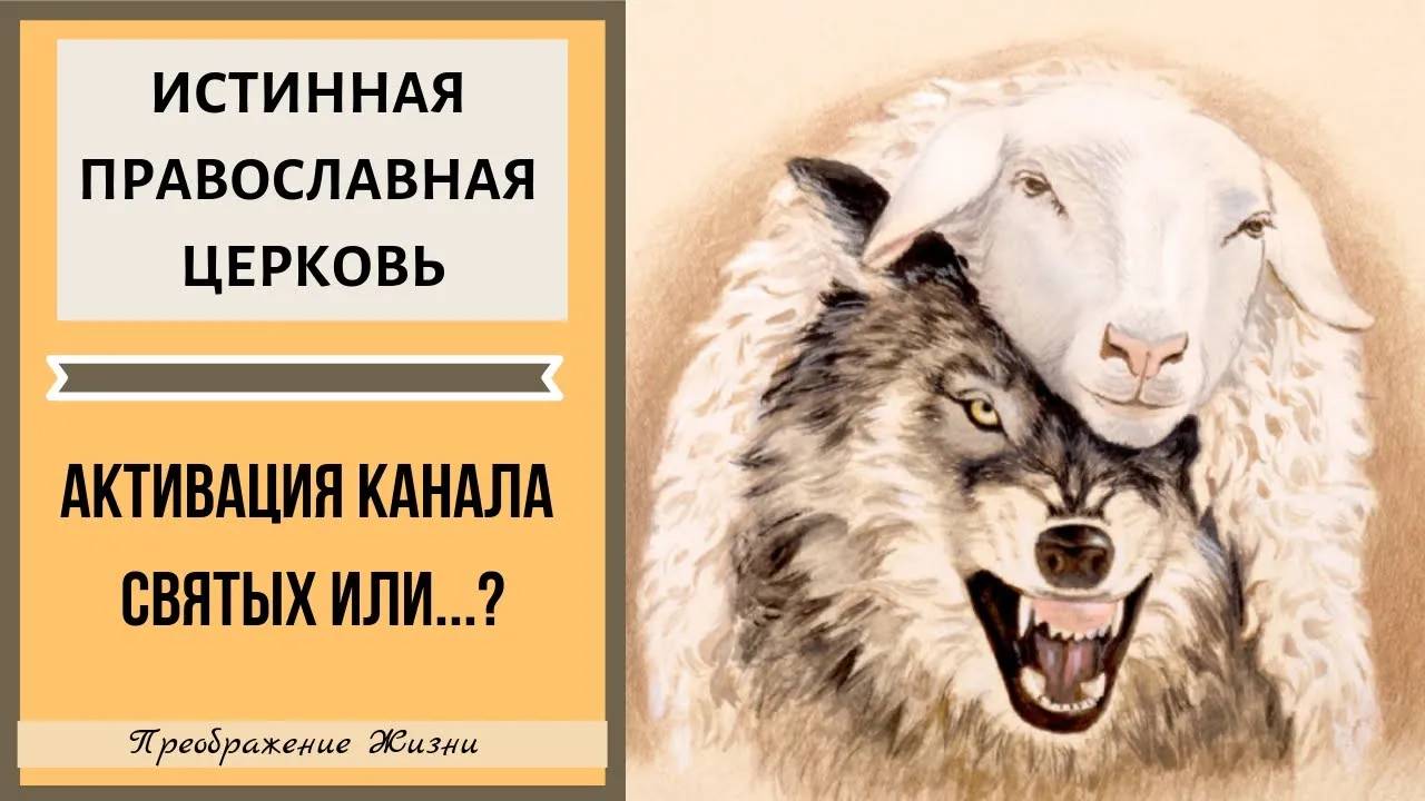 129. ПОДКЛЮЧЕНИЕ К КАНАЛУ СВЯТЫХ в истинной православной церкви. Что было после?