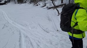 От Родников до города через Верблюды