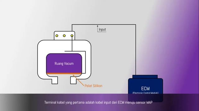 MAP Sensor смотреть онлайн