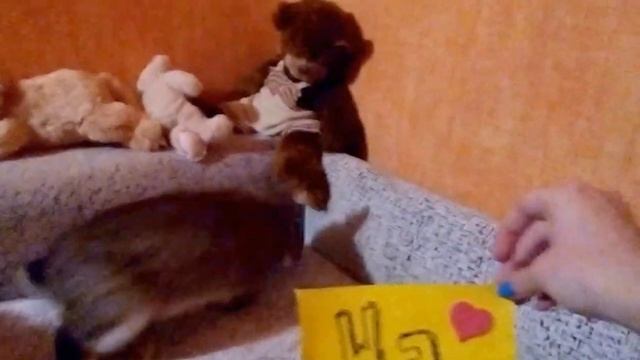 Видео-приглашение от модернистов на "Точку Кипения" смотреть онлайн