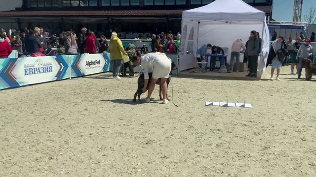 Евразия 22.05.2022 смотреть онлайн