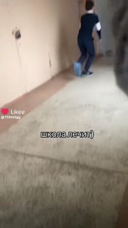 жиза