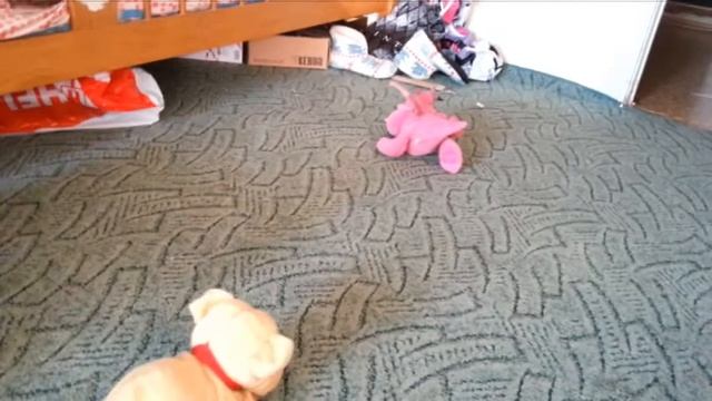 Два щенка смотреть онлайн