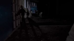 Пришла беда, от куда ее не ждали/ Лошадь серьезно поранилась и пришлось ее оперировать