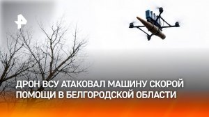 Двухлетний ребенок и его мать погибли при ударе дрона ВСУ в Белгородской области