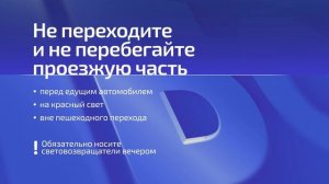 647 человек погибли в ДТП в Подмосковье в 2024 году