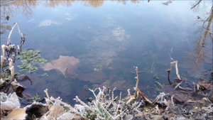 Katadyn Pocket filter Review - Field Use And Test Results - Bug out water filter