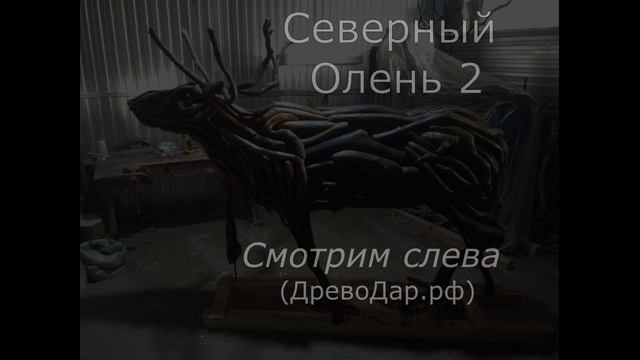 Фильм "Мир сказочных Оленей", серия 2 (ДревоДар)