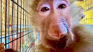 Татьяна Алексагина-«Я точно знаю, у нас с Владом никогда не будут свободные руки и сердце!»