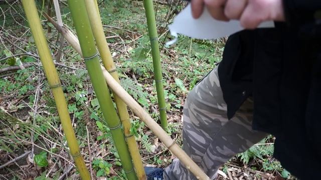 Тесты ножа Коршун 3 ПП Кизляр рез и рубка Бамбука AUS8 смотреть онлайн