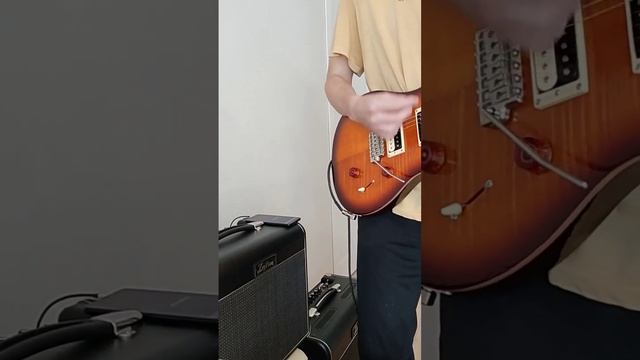 Гитарный фидбэк или обратная связь- что за зверь такой? Guitar feedback -what kind of beast is this