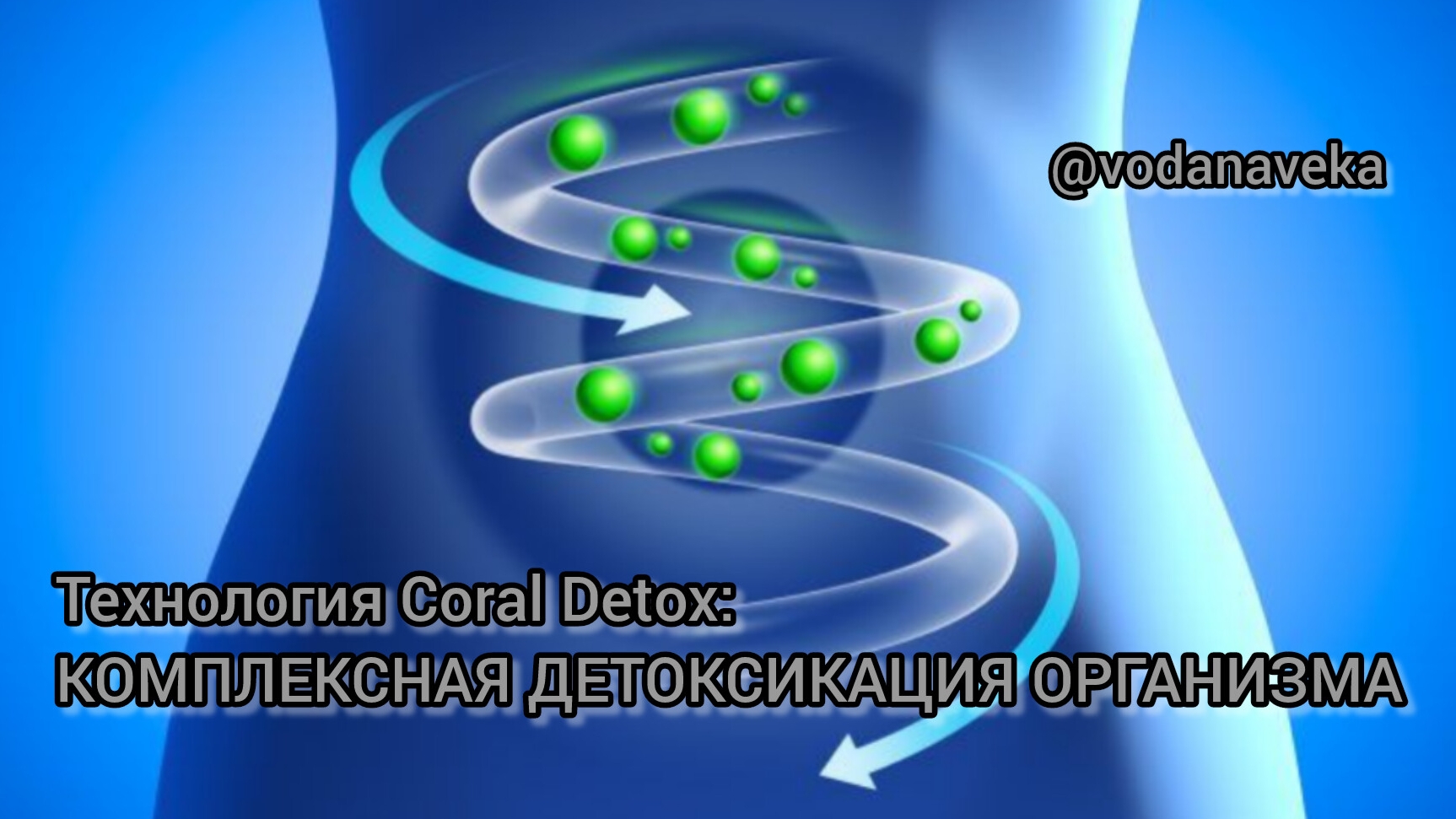 Ольга Подхомутникова   Технология Coral Detox   комплексная детоксикация организма