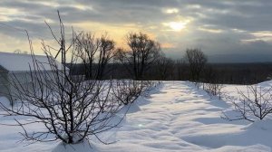 Сад в канун Рождества. Сочельник 6 января 2025 г.
