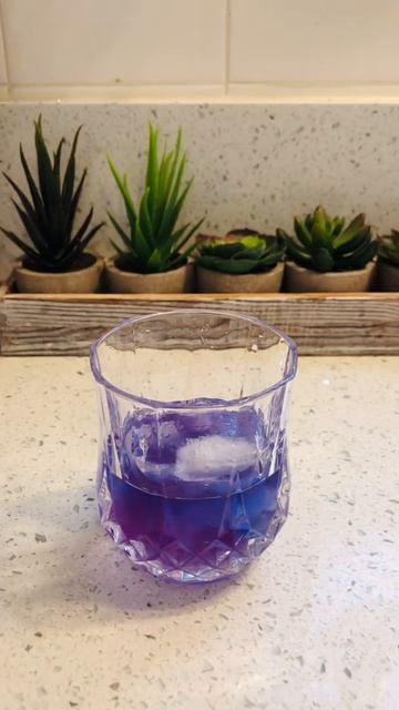 Gin&Tonic cocktail with fantastic color | Color changing Cocktail | Color-shifting Cocktail#shorts смотреть онлайн