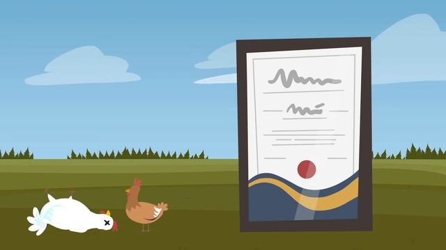 How to Write Poultry Farm Business Plan to Earn Money from Poultry #poultry