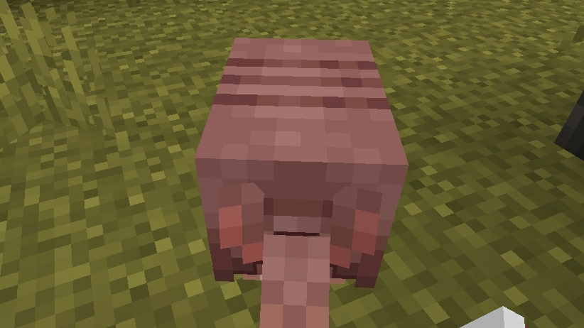 Lp.Тайные Земли.#3.Новый дом