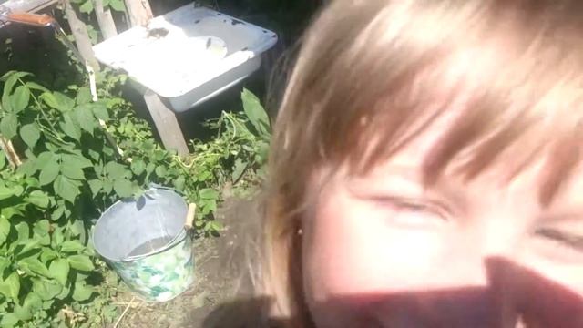 Как сделать домик для саранчи? смотреть онлайн