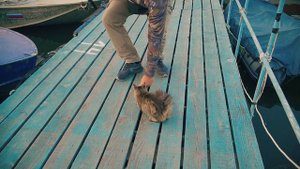 Все Про Мормышинг + Розыгрыш удилища для подписчиков.