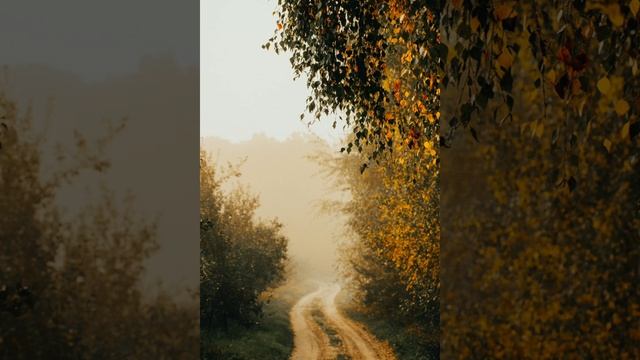 СЕЛЬСКАЯ ПАСТОРАЛЬ | ИНТЕРЕСНЫЕ ИСТОРИИ #интересныеисторииизжизни #новинкиистории #новыеистории