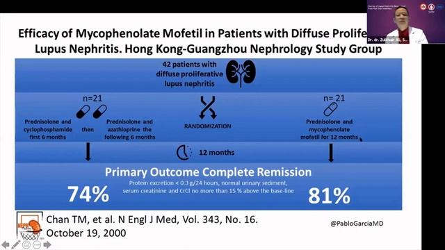 Webinar PAPDI: Penatalaksanaan Lupus Nefritis, DR. Dr. H. Zulkhair Ali, Sp. PD-KGH, FINASIM смотреть онлайн