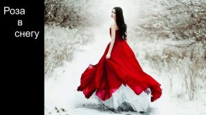 Роза  в  снегу  Марк ЭС